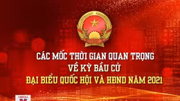 Các mốc thời gian quan trọng về ngày bầu cử đại biểu Quốc hội và HĐND năm 2021