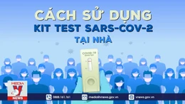 Cách sử dụng kit test SARS-CoV-2 tại nhà