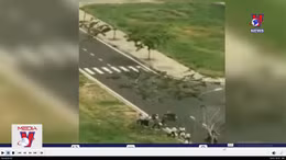 Clip học sinh Cà Mau đánh nhau chỉ là trò đùa