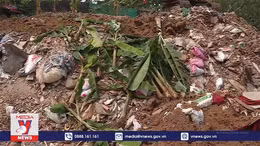 Quyết liệt xử lý dứt điểm các vi phạm tại khu vực bãi sông Hồng