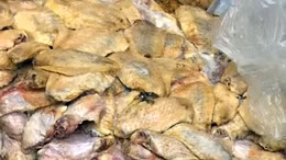 Hàng chục nghìn tấn gà thải loại nhập lậu vào Việt Nam