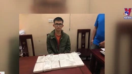 Nghệ An bắt giữ vụ vận chuyển 12 bánh heroin