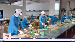 Hỗ trợ doanh nghiệp phục hồi và thúc đẩy tăng trưởng