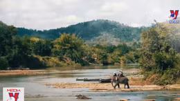 Việt Nam là điểm đến hàng đầu châu Á về di sản, ẩm thực và văn hóa