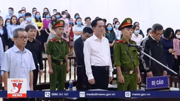 Tuyên phạt 12 bị cáo trong vụ án BIDV