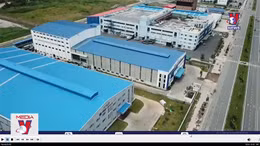 Gia hạn thời hạn nộp thuế và tiền thuê đất trong năm 2023