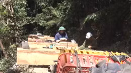 Kon Tum lại phát hiện 'đoàn xe lâm tặc' chở gỗ trái phép