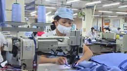 Xử phạt tới 50 triệu đồng doanh nghiệp trả lương không đúng hạn cho người lao động