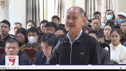 Bồi thường 1,2 tỉ đồng vì chặt phá hơn 4,7 hecta rừng