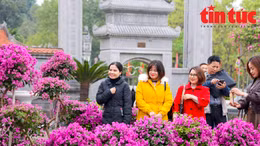 Mê Linh sẵn sàng cho Festival hoa 2022