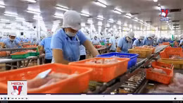 Doanh nghiệp chật vật vay vốn ngân hàng