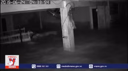 Thủy điện xả lũ kiểu 'sống chết mặc bay'