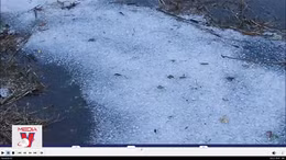 Xảy ra dông lốc, mưa đá tại Điện Biên