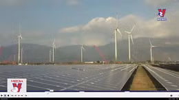 Thống nhất mức giá tạm thời với 15 nhà máy điện gió, điện mặt trời