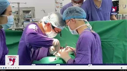 Việt Nam lần đầu tiên ghép đa tạng tim - thận thành công