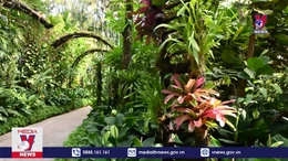 'L﻿an đột biến' - Mất công tạo ra nhưng dễ nhân bản