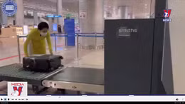 4 tiếp viên xách ma túy được trả tự do