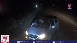 Đi ngược đường, ô tô con 'đấu đầu' container