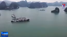 Các chủ tàu du lịch tại Quảng Ninh xin dừng hoạt động
