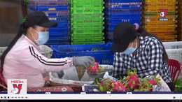 Thanh long, sầu riêng nguy cơ dư thừa khi Trung Quốc tăng diện tích trồng