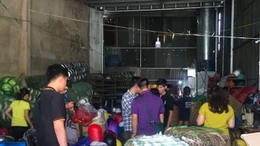 Phát hiện cơ sở sản xuất mũ bảo hiểm giả quy mô lớn