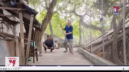 Làm sao để lương hưu đủ sống?