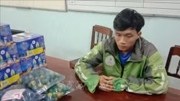 Đốt pháo hoa nổ có thể bị phạt tù