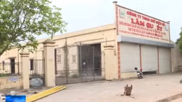 'Xã hội đen' núp bóng doanh nghiệp