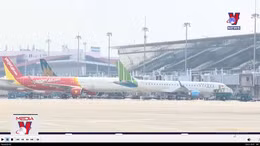 Khung giá vé máy bay nội địa có thể tăng cao từ quý 2