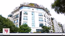 Làm rõ dấu hiệu lừa đảo dự án trồng Sâm Ngọc Linh