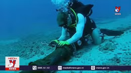 Chậm sửa cáp quang biển do số tàu sửa cáp hạn chế