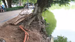 Nhiều đoạn bờ kè hồ Gươm sạt lở, lộ cả cáp ngầm