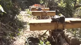 Kon Tum bắt quả tang 11 đối tượng khai thác gỗ trái phép