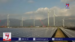 Bộ Công Thương báo cáo Thủ tướng về giá điện gió, điện mặt trời