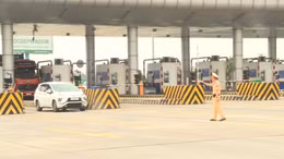 Lái xe vi phạm hết điểm phải thi lại bằng lái