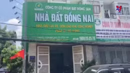 Khởi tố, bắt tạm giam Giám đốc Công ty bất động sản nhà đất Đồng Nai