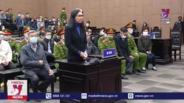 'Cơ chế ngầm' trong vụ AI'