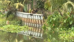 Người dân TP Hồ Chí Minh thấp thỏm sống bên bờ sạt lở