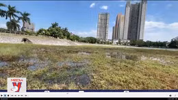 Hồ điều hòa tại Hà Nội biến thành hồ ‘chết’