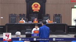 Làm rõ sai phạm định giá đất của Cienco 1