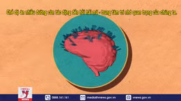 Đường tác động lên bộ não của bạn như thế nào ?