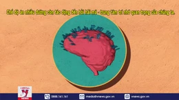 Đường tác động lên bộ não của bạn như thế nào ?