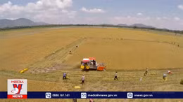 Bộ Nông nghiệp và Phát triển nông thôn khẳng định đảm bảo an ninh lương thực