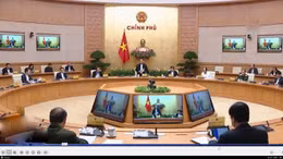 Tạm ngừng cấp visa vào Việt Nam trên phạm vi toàn cầu