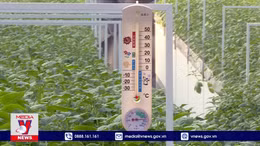 Thúc đẩy chuyển đổi số trong nông nghiệp