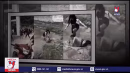 Bạo lực học đường - Xin đừng vô cảm