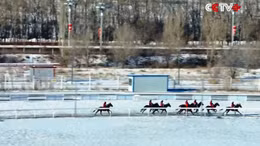 Cuộc đua ngựa trên tuyết trắng nổi tiếng vùng Tân Cương, Trung Quốc