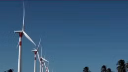 Công suất năng lượng tái tạo toàn cầu đạt kỷ lục