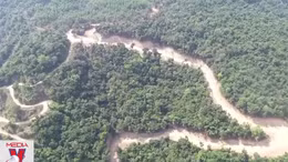 Làm rõ cá nhân, tổ chức phá rừng KfW6 để mở đường ở Quảng Ngãi