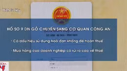 9 doanh nghiệp gỗ nghi sử dụng hóa đơn khống
